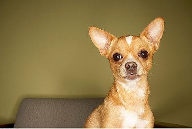 7月22日发售《终点站》三段独立剧情预告片公布